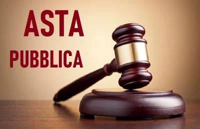 asta-pubblica